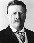 picture of Theodore Roosevelt